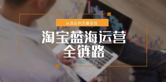 淘宝蓝海运营全链路，从选品到流量变现，小类目突围完整方案-贝贝云网创