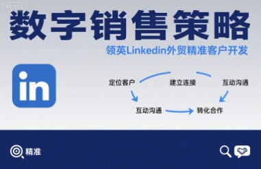 数字销售策略领英LinkedIn外贸精准客户开发-贝贝云网创