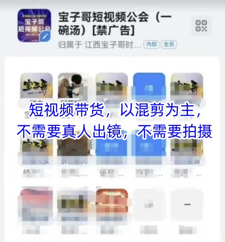 宝子哥头部团队短视频带货，以混剪为主，不需要真人出镜，不需要拍摄【更新6月】-贝贝云网创