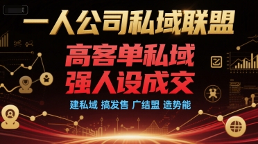 一人公司私域联盟，高客单私域，强人设成交，建私域 搞发售 广结盟 造势能-贝贝云网创