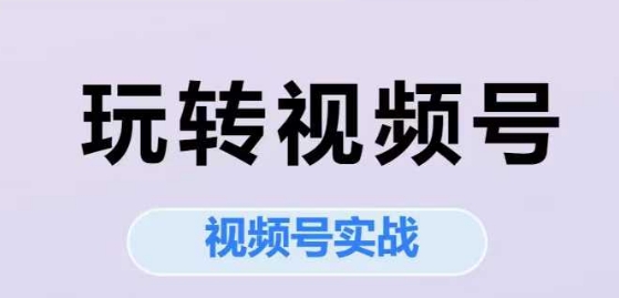 玩转视频号，视频号实战系列课-贝贝云网创