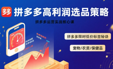 久号老师·拼多多选品暴利技术实战课-贝贝云网创