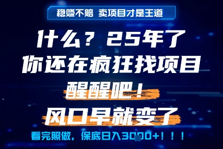 什么？25年你还在疯狂找项目做，醒醒吧，看完这些你全都懂了！【揭秘】-贝贝云网创