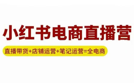 申铭老师·小红书电商直播营(更新)-贝贝云网创