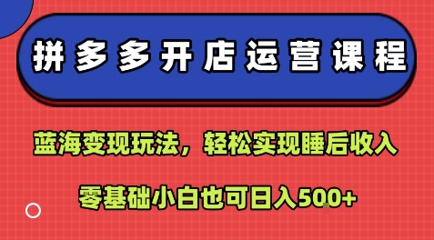 拼多多开店运营课程：蓝海变现玩法，轻松实现睡后收入，零基础小白也可日入5张-贝贝云网创