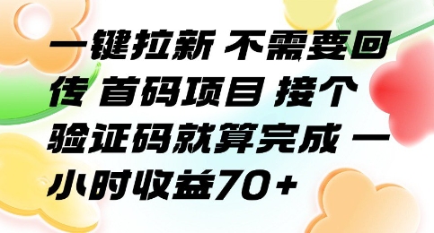 一键拉新 不需要回传 首码项目 接个验证码就算完成 一小时收益70+【揭秘】-贝贝云网创