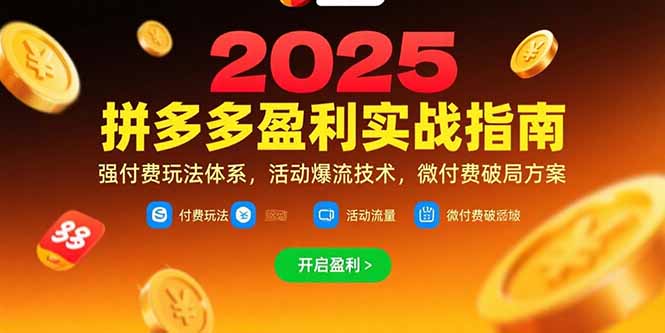 拼多多盈利实战指南，强付费玩法，活动爆流技术，微付费破局方案(更新7月-贝贝云网创