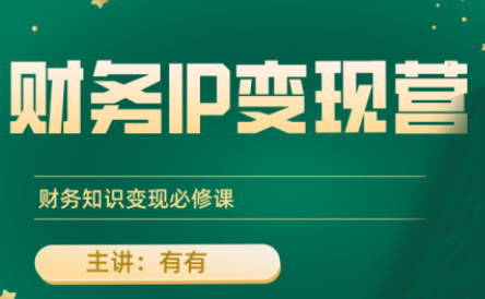 有有老师·财务IP变现营，财务知识变现必修课-贝贝云网创